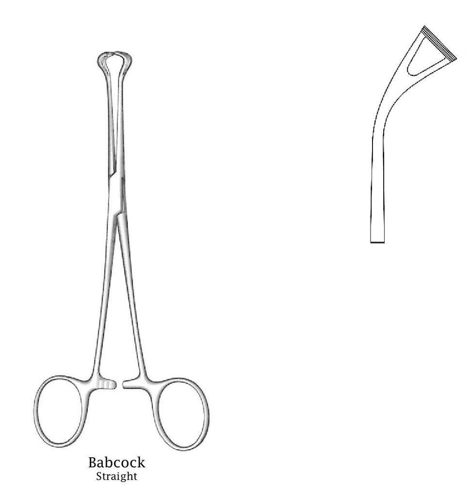 Babcock Tissue y Organ Forcep sostenedor - longitud = 14 cm / 5-1/2&quot;, Angled = 45°