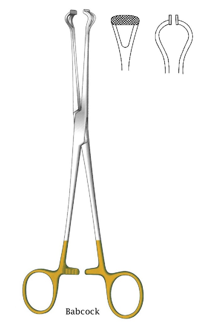 Pinza para órgano y tejido de Babcock - longitud = 16 cm / 6-1/4&quot;, dentado = 0.5 mm, recto, perfil normal, TC Gold