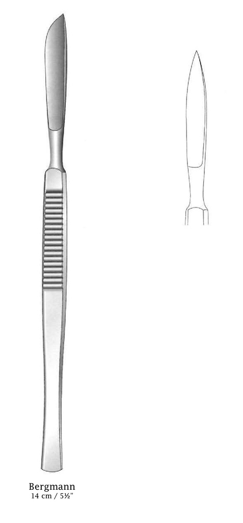 Bergmann Cuchillo de diseccion - longitud = 14 cm / 5-1/2&quot;