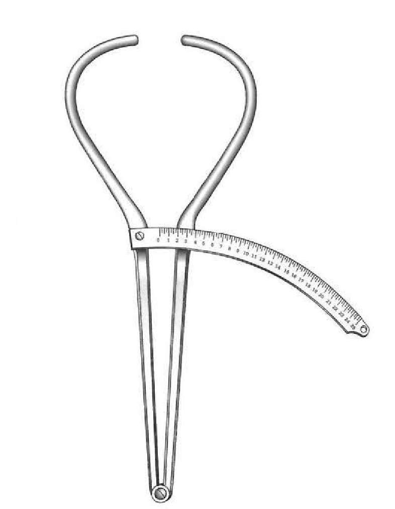 Cefalómetro de Bertillon - longitud = 32 cm
