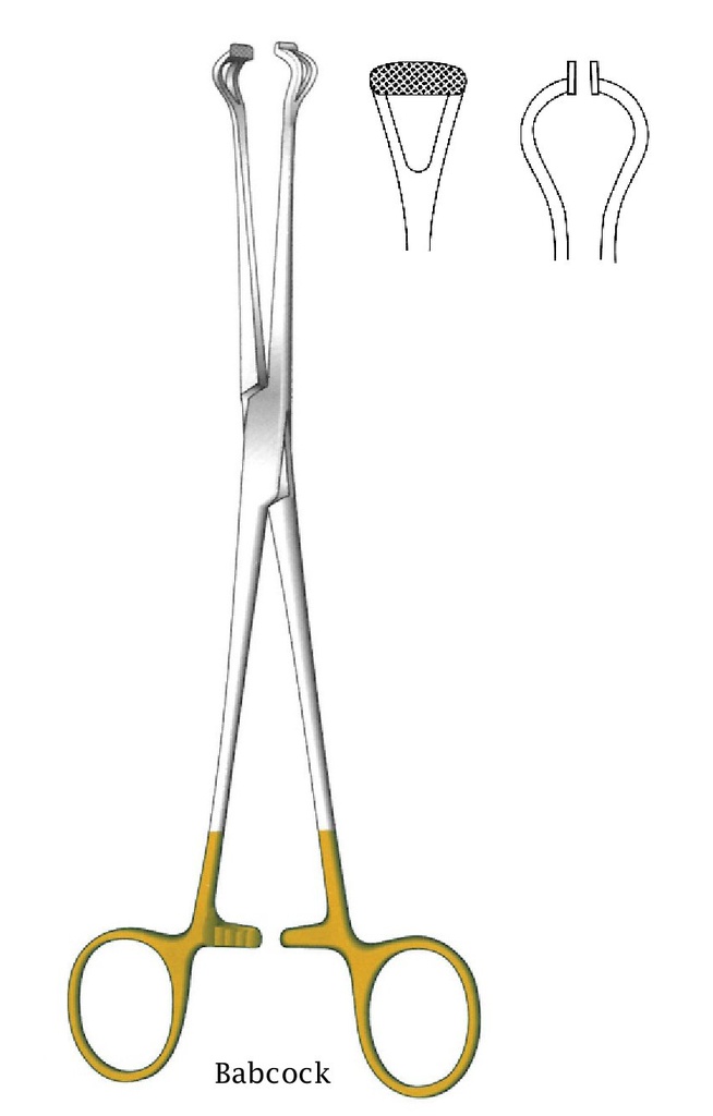 Pinza para órgano y tejido de Babcock - longitud = 18 cm / 7&quot;, dentado = 0.5 mm, recto, perfil normal, TC Gold