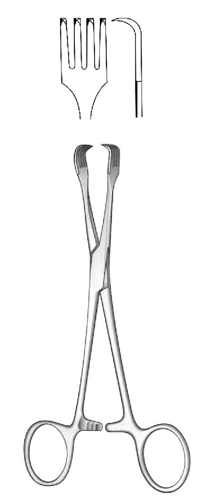 Braun Tenaculum Forcep - longitud = 15.5 cm / 6-1/4&quot;