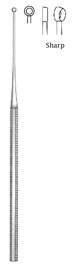 Buck Cureta - longitud = 16.5 cm / 6-1/2&quot;, Fig. = 1, Aguda
