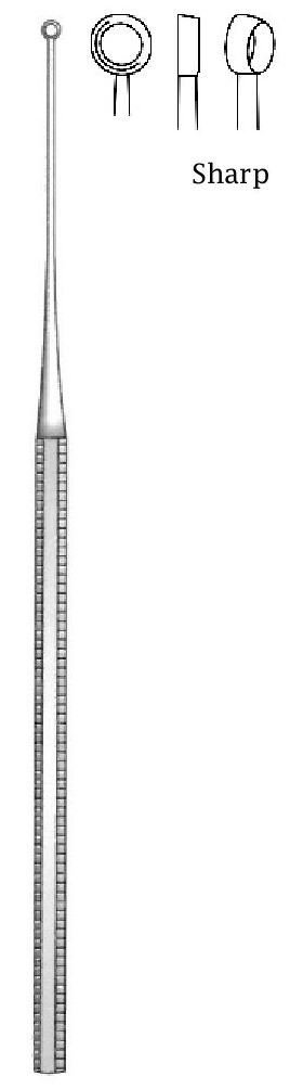 Buck Cureta - longitud = 16.5 cm / 6-1/2&quot;, Fig. = 5, Aguda