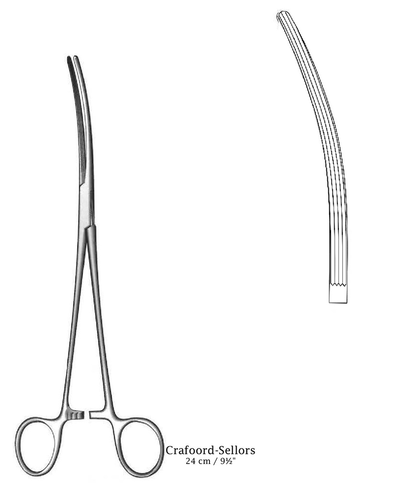 Pinza para arteria Crafoord-Sellors, ligeramente curvado - longitud = 24 cm / 9-1/2&quot;