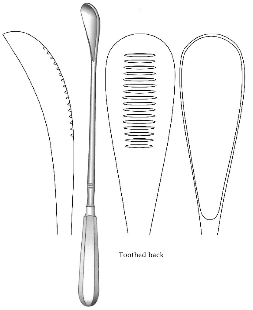 Cureta uterina Cuzzi, dentada hacia atrás, desafilado, ancho = 21 mm - longitud = 30 cm / 12&quot;