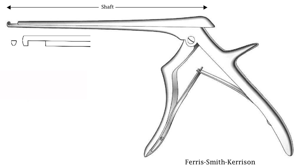 Pinza para disco intervertebral Ferris-Smith-Kerrison, corte hacia abajo, ancho de punta = 2 mm - longitud del eje = 18 cm