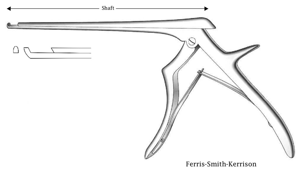 Pinza para disco intervertebral Ferris-Smith-Kerrison, corte hacia adelante, ancho de punta = 2 mm - longitud del eje = 18 cm