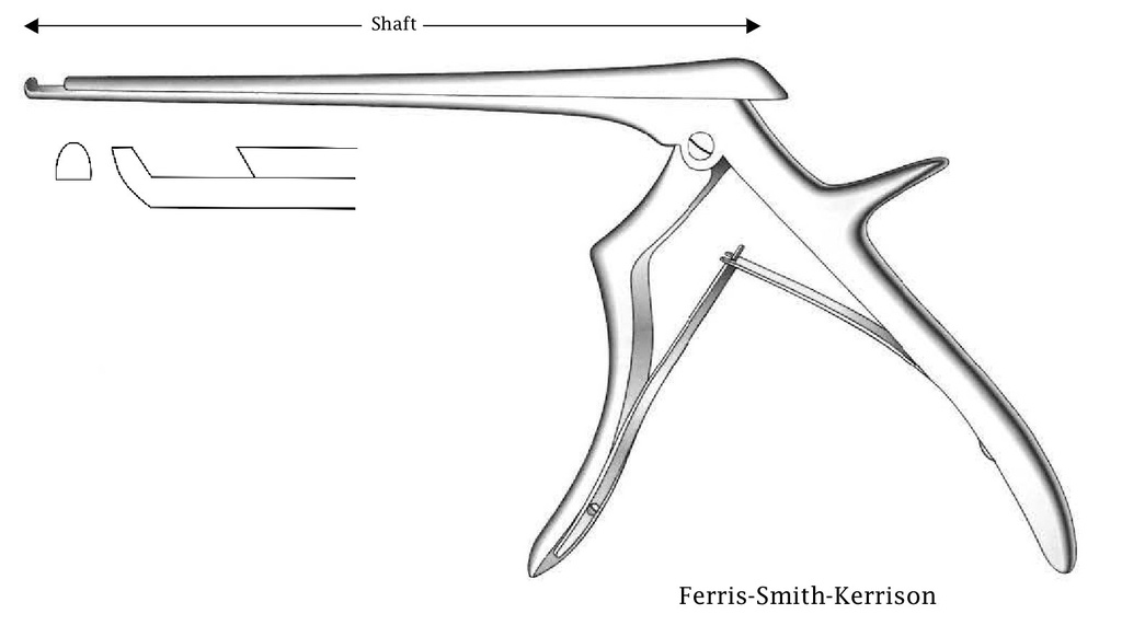 Pinza para disco intervertebral Ferris-Smith-Kerrison, corte hacia adelante, ancho de punta = 4 mm - longitud del eje = 18 cm