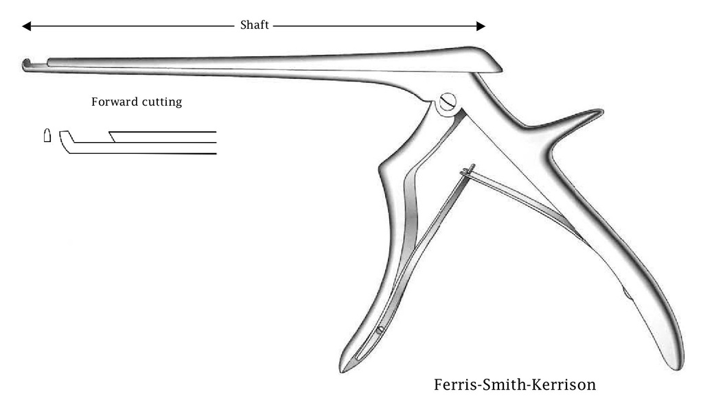 Pinza para disco intervertebral Ferris-Smith-Kerrison, corte hacia adelante, ancho de punta = 1 mm - longitud del eje = 20 cm