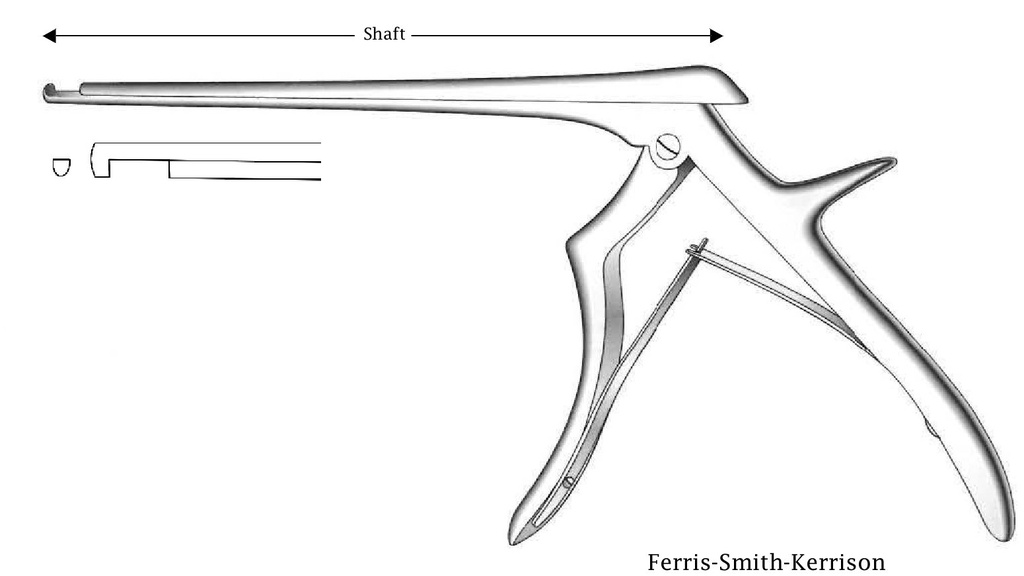 Pinza para disco intervertebral Ferris-Smith-Kerrison, corte hacia abajo, ancho de punta = 2 mm - longitud del eje = 20 cm