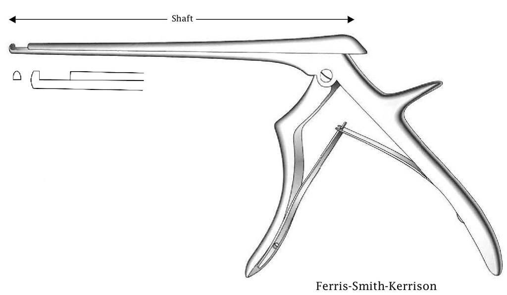 Pinza para disco intervertebral Ferris-Smith-Kerrison - longitud del eje = 20 cm, corte hacia arriba, ancho de punta = 2 mm