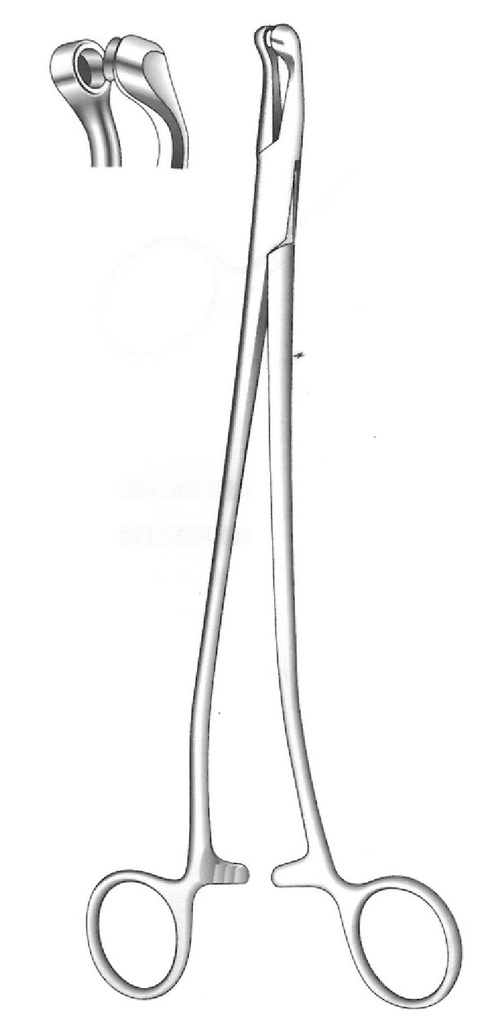 Pinza para biopsia uterina de Thomas-Gaylor - Longitud = 22 cm / 8-1/2&quot;