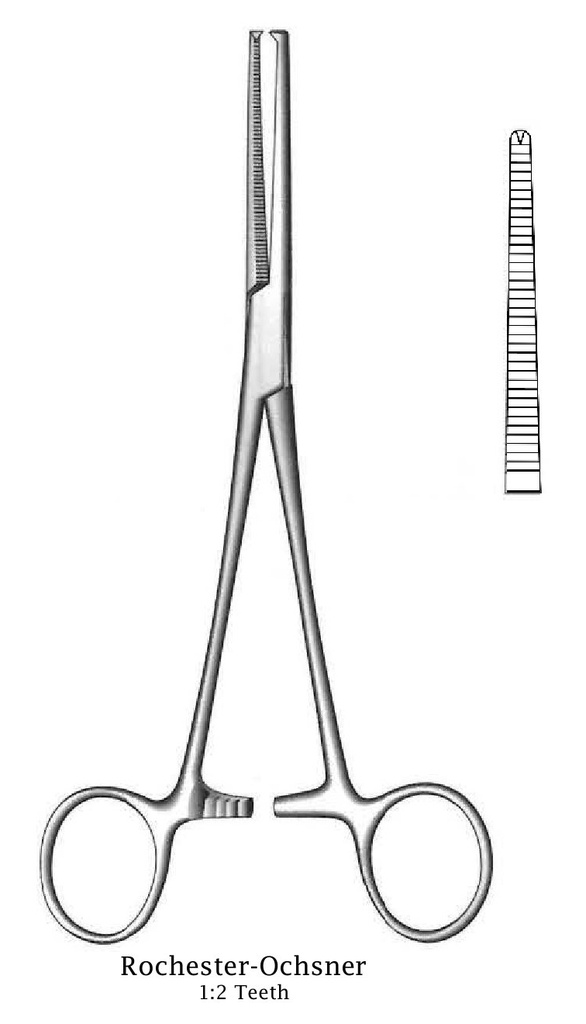 Pinza para arteria de Rochester-Ochsner premium, recta - longitud = 26 cm / 10-1/2&quot;