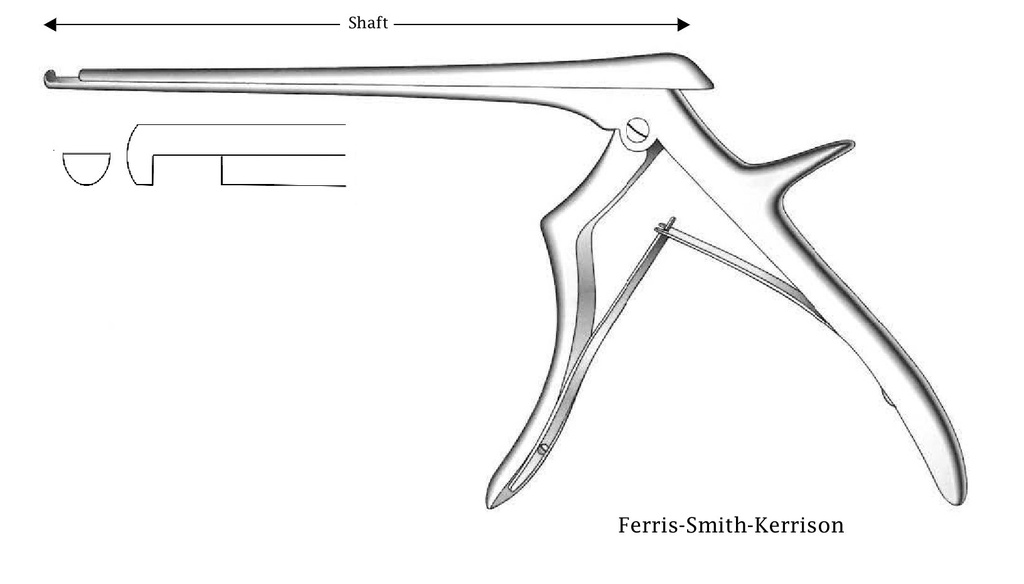 Pinza para disco intervertebral Ferris-Smith-Kerrison premium, corte hacia abajo, ancho de punta = 6 mm - longitud del eje = 20 cm