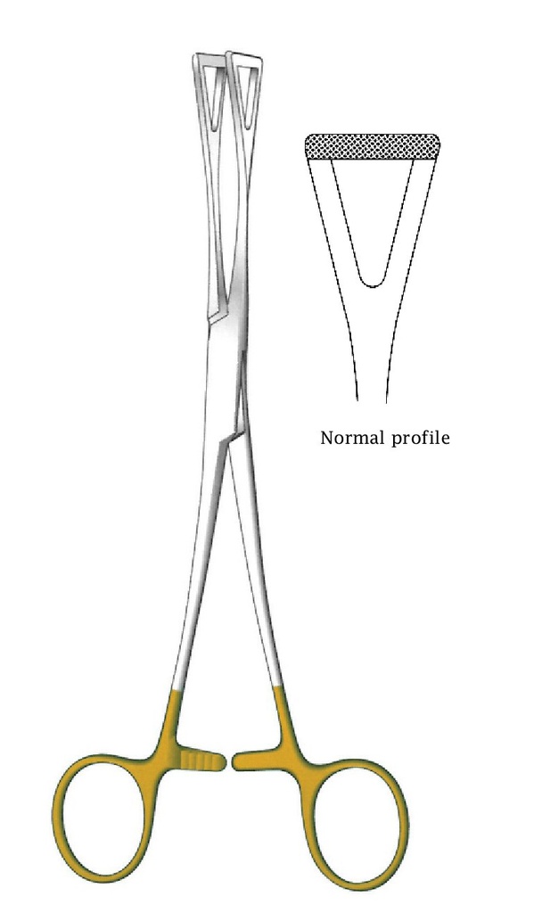 Pinza para de tejidos Duval premium, dentado = 0,5 mm, perfil normal, TC Gold - longitud = 20 / 8" Surgicalmed.es
